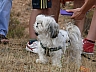 20120815 Romeria 92.jpg 20120815 Romeria 92.jpg